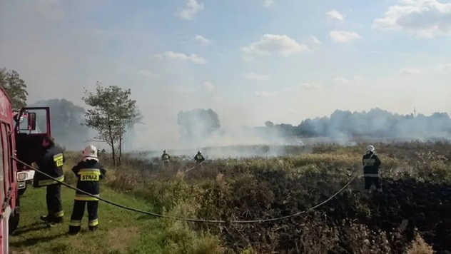 Strażacy gaszą pożar traw